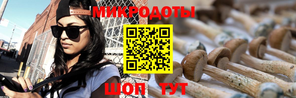 Псилоцибиновые грибы MAGIC MUSHROOMS  Вход с VPN  Красноармейск  Псилоцибиновые грибы ЛСД 